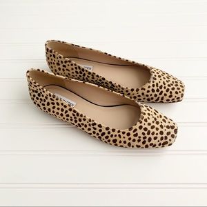 Steve Madden Brya Leopard Square Toe Flats